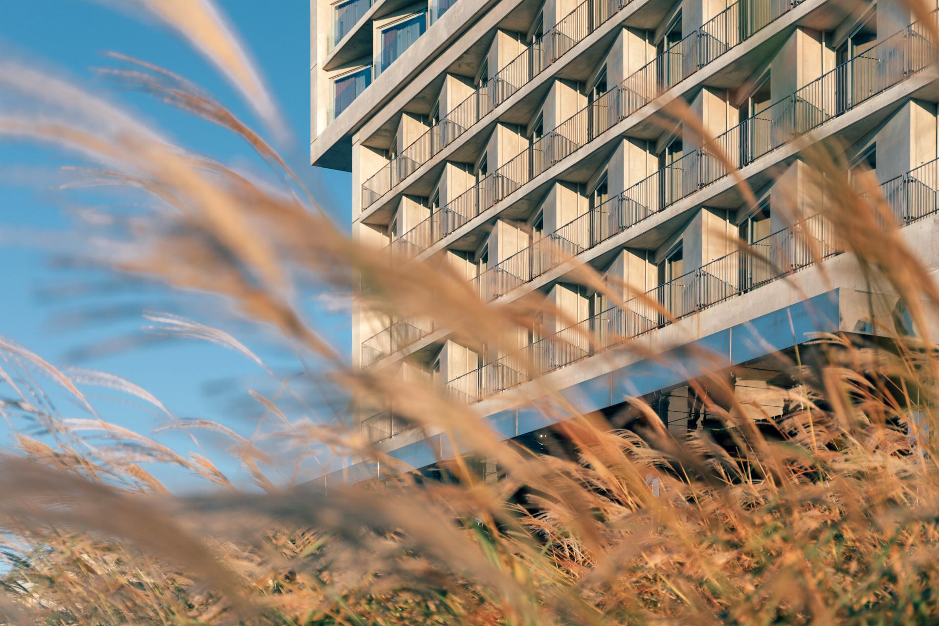 Nest Hotel Incheon Luaran gambar The new building of the University of Applied Sciences